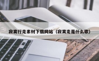 资阳寂寞行走素材下载网站（寂寞走是什么歌）